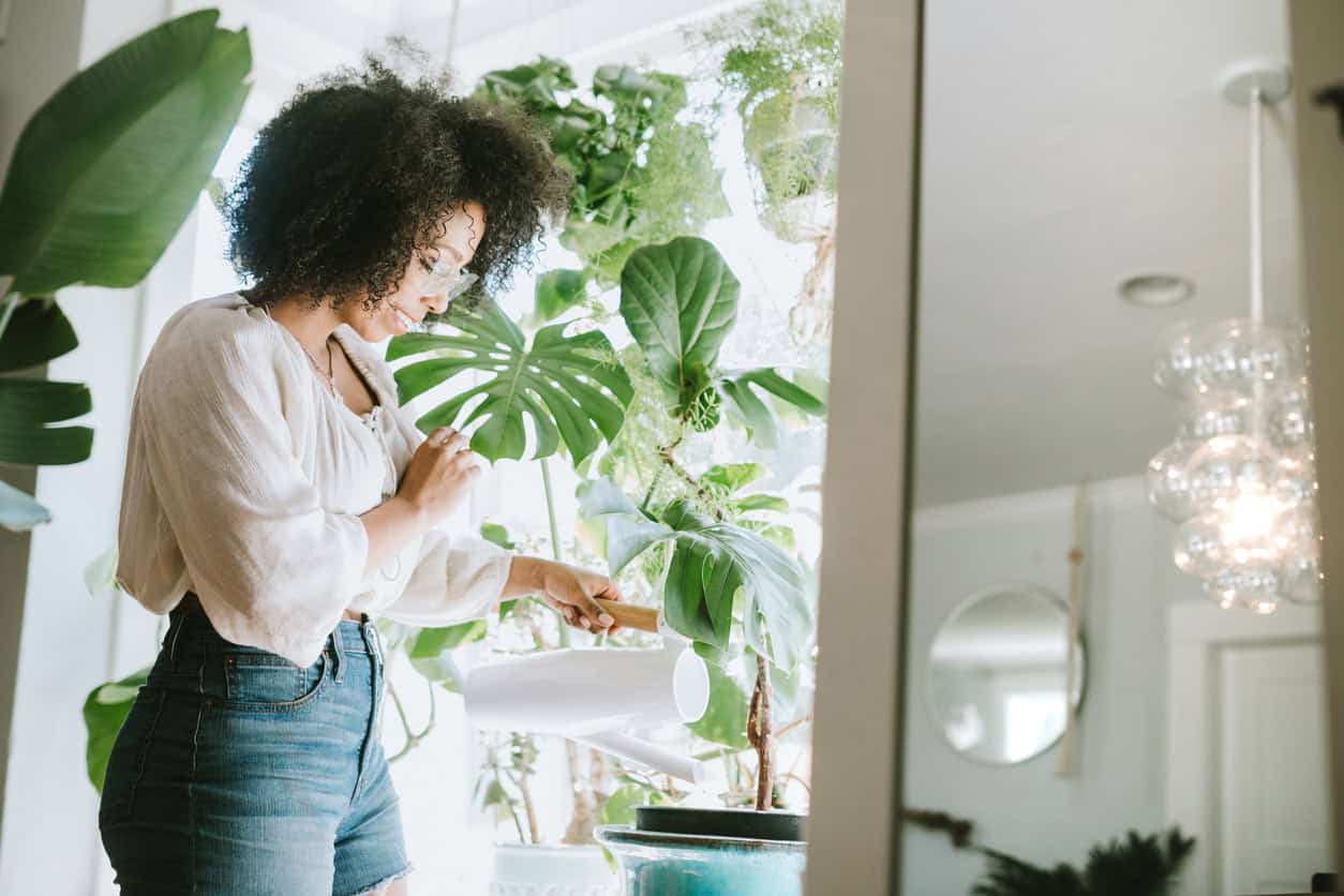 A young women water her houseplants