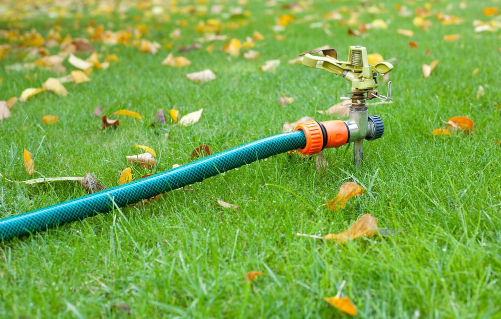 Water hose connected to a water sprinkler
