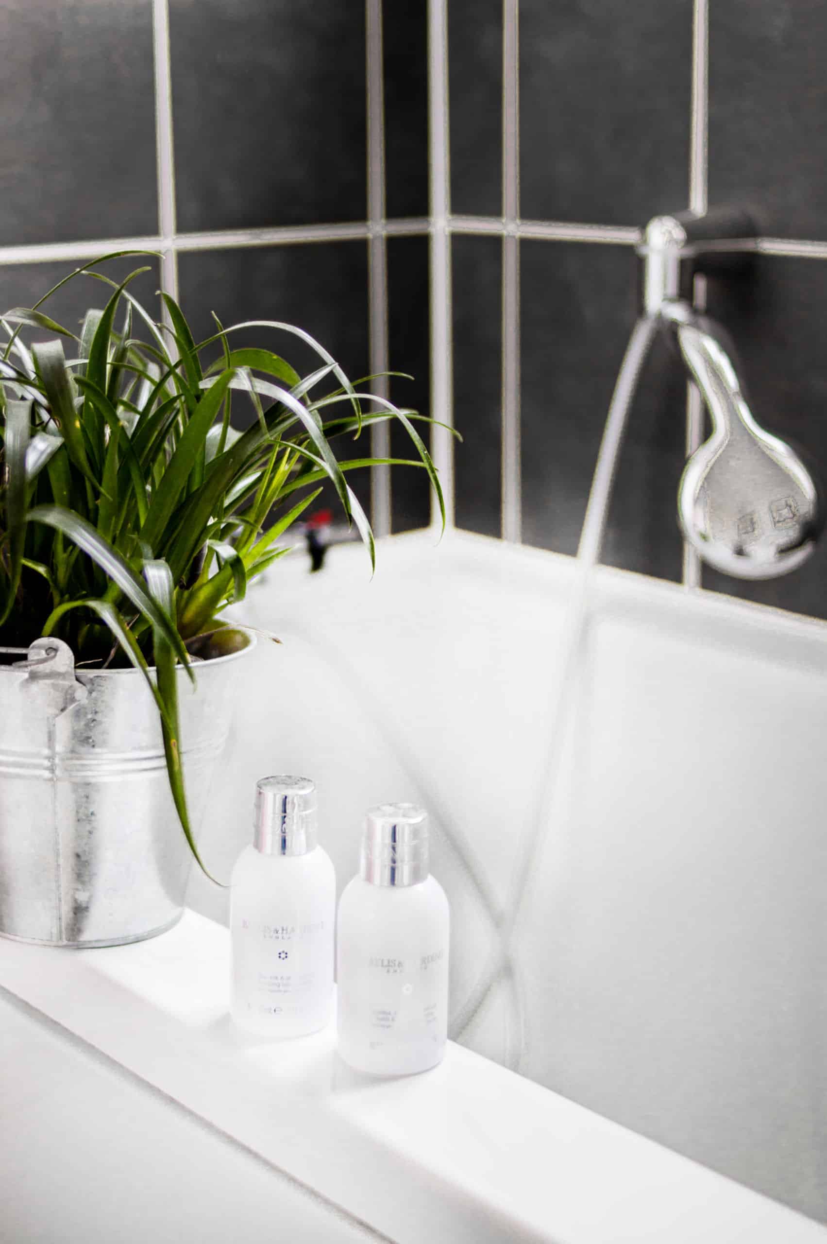 Two small bottles next to a plant in a metal bucket on top of a bathtub
