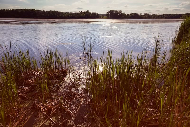 Lake Elmo Park Reserve In Woodbury St. Paul Area