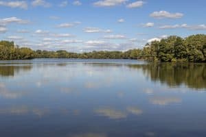 lake-in-woodbury-mn