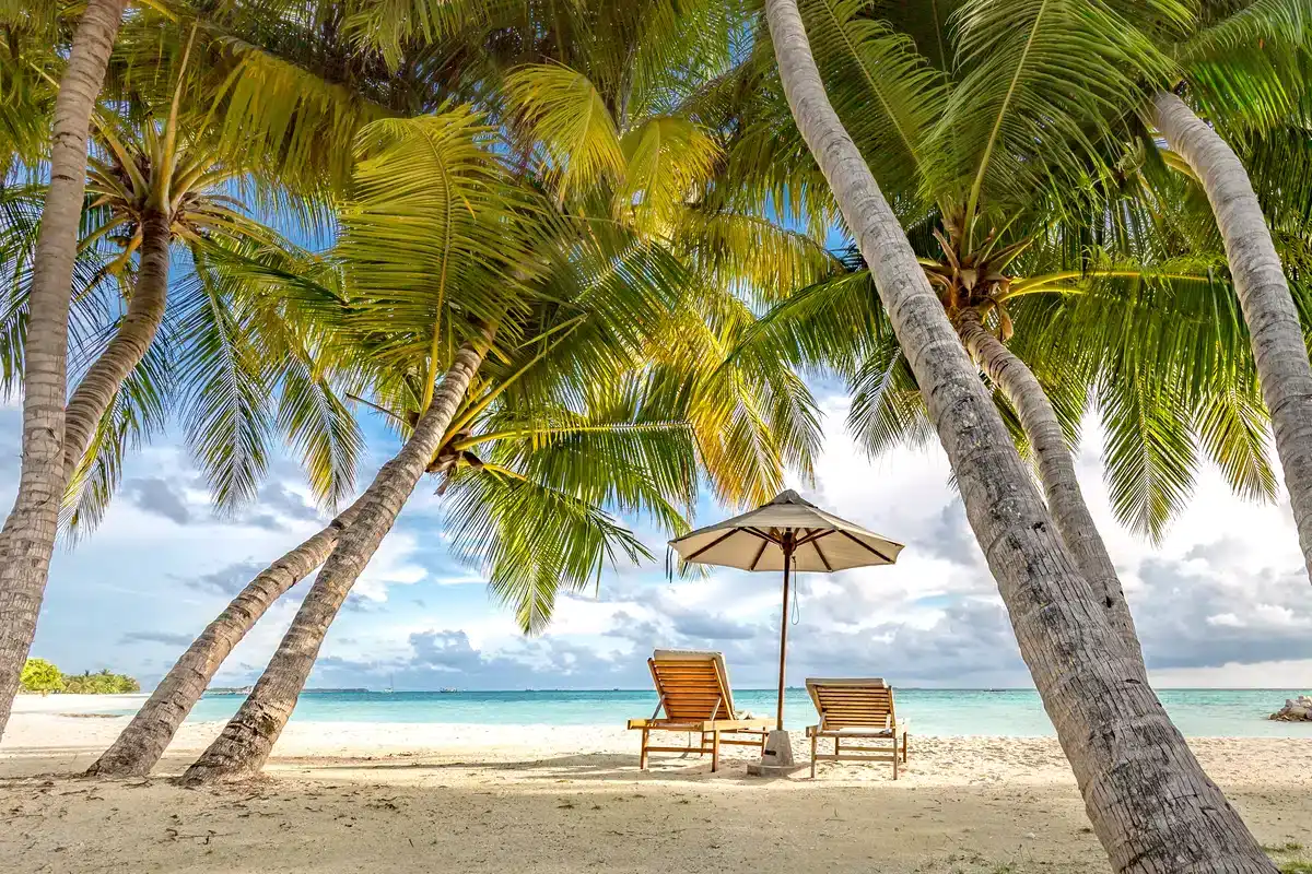 Two wooden lounge chairs with a white umbrella sit under tall, swaying palm trees on a sandy beach, creating an idyllic setting for those needing escape after a hectic day of HVAC service. The clear blue sea and cloudy sky form the serene background, exuding a peaceful, tropical getaway vibe.