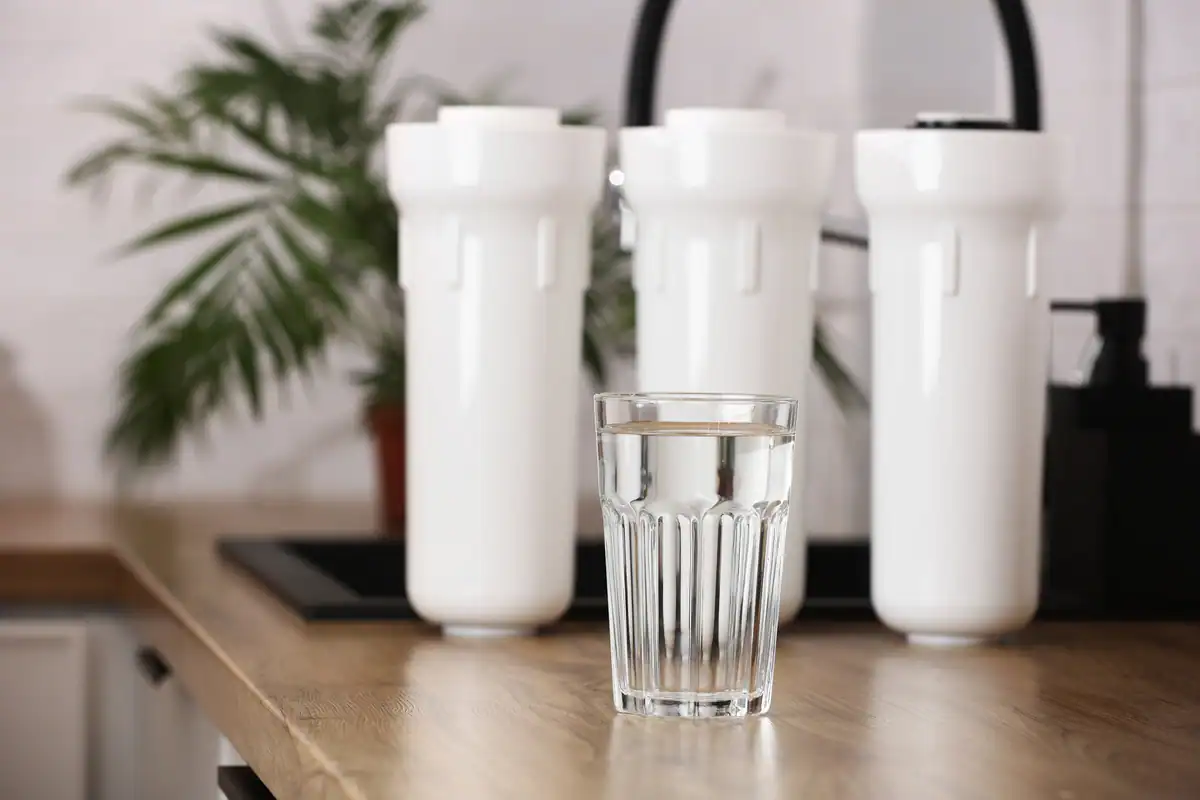 Reverse Osmosis System purified water