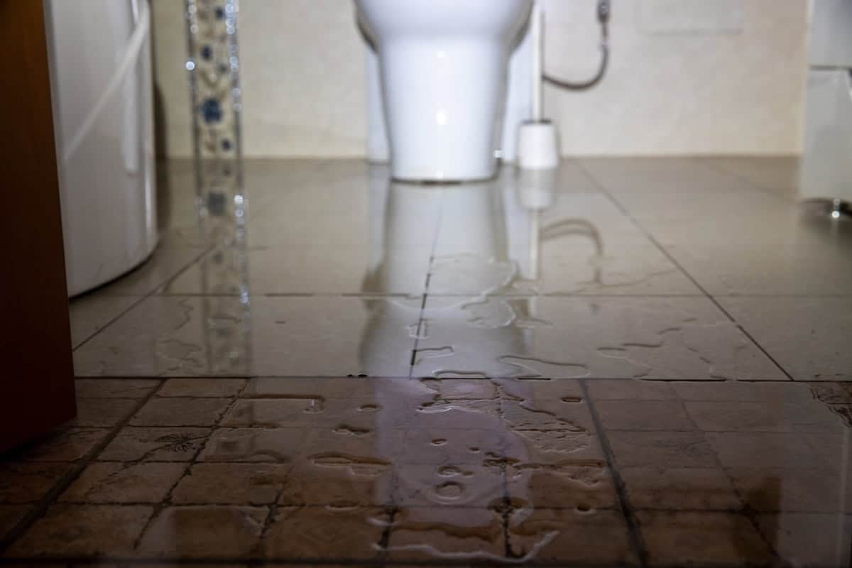 A bathroom floor with water puddles is shown, reflecting overhead light. A toilet is visible in the background, and a plunger is nearby. The tiles are both textured and smooth, with a threshold separating two sections.