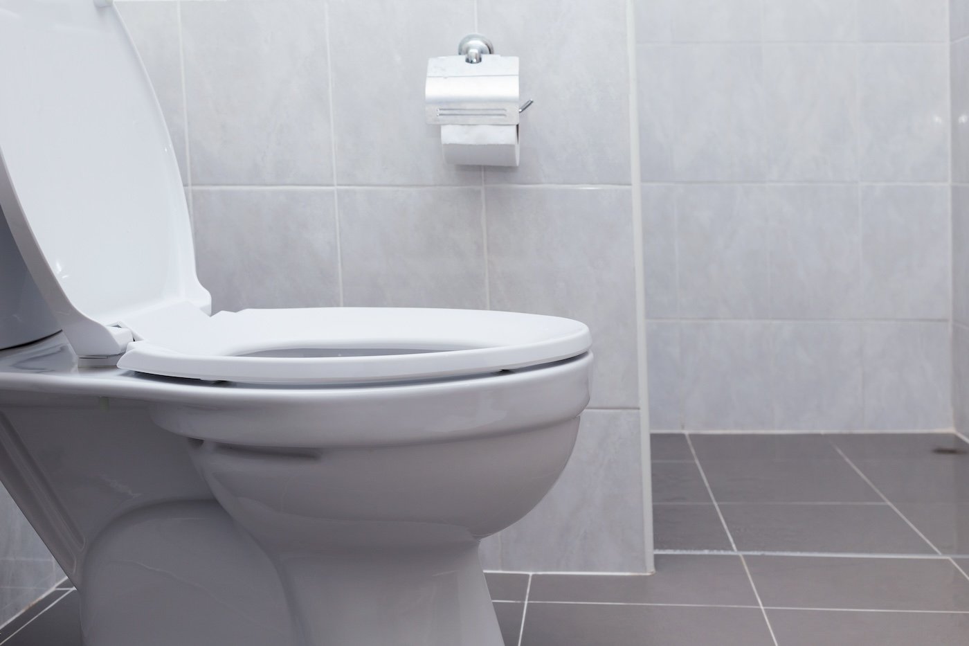 White Flush Toilet In Modern Bathroom Interior